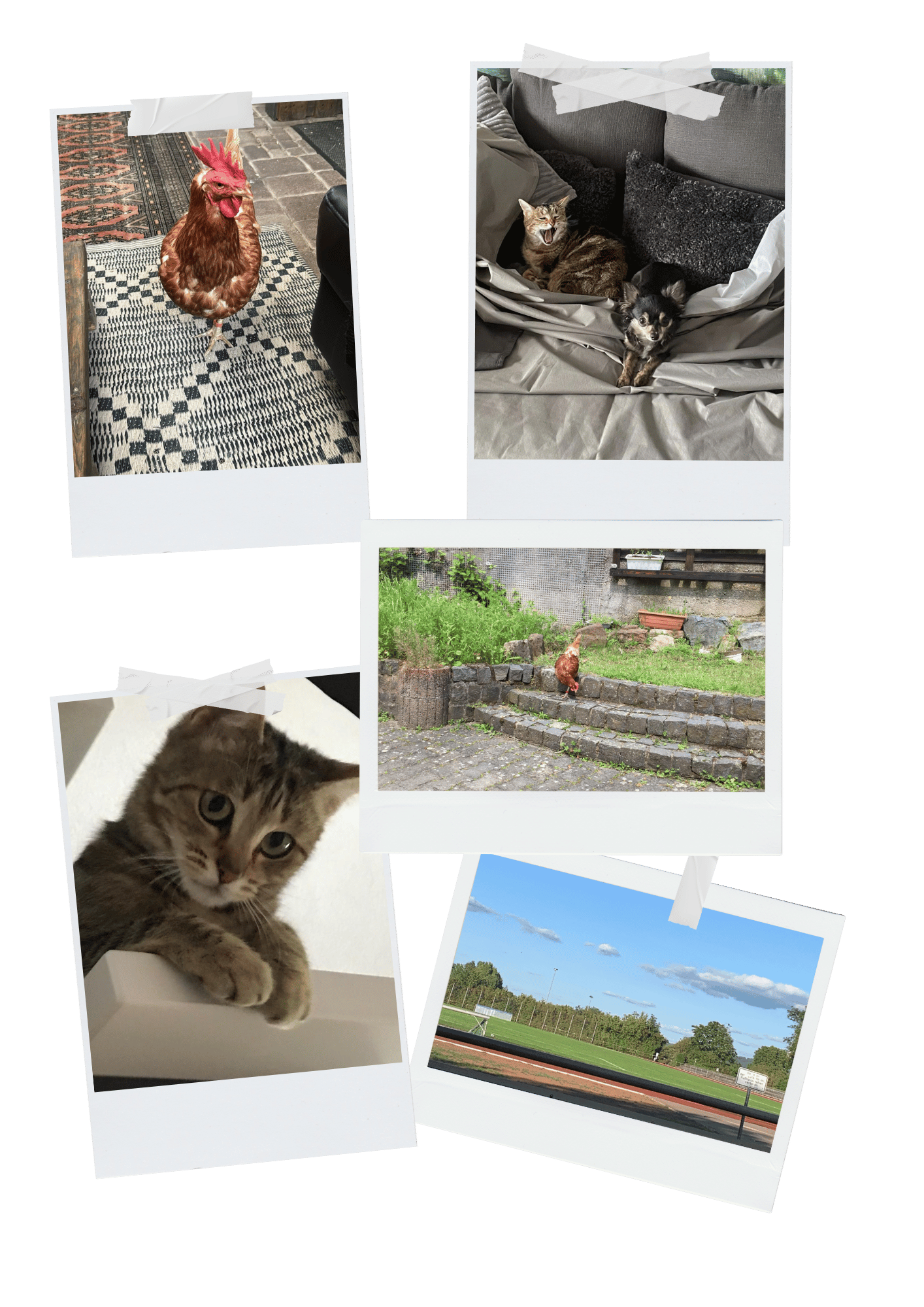 ortsunabhängiges arbeiten Laptop