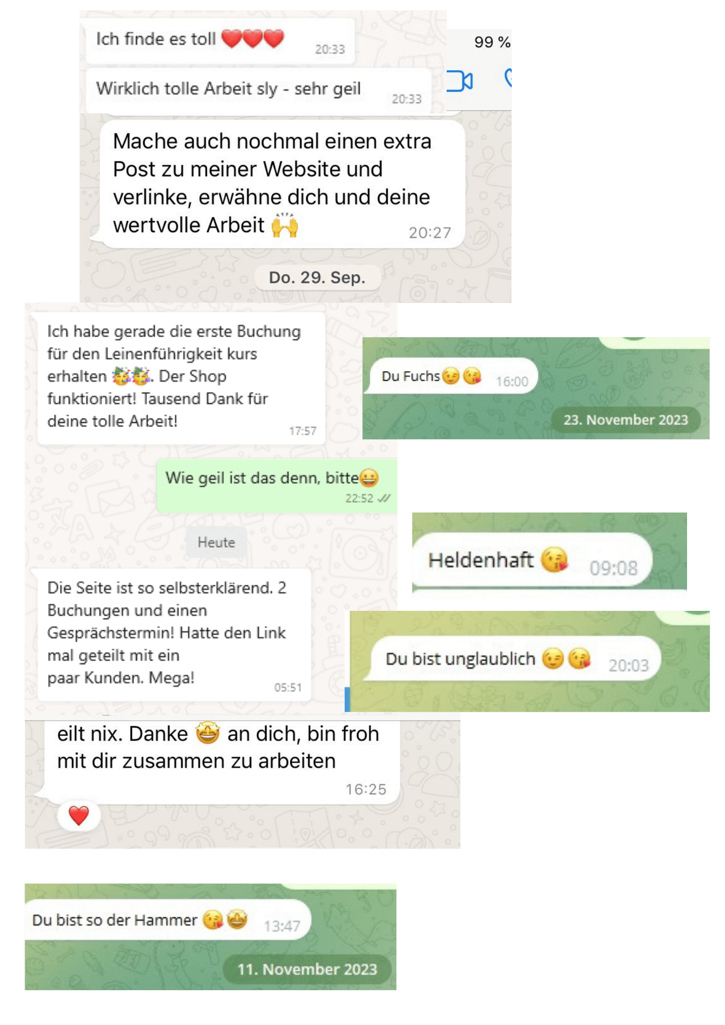 Testimonials Sly Dingeldein
