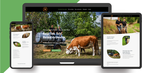 website referenz Online Akademie